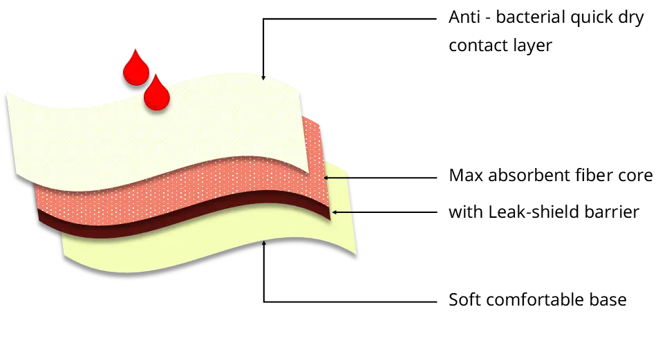 EE_panty_layers.webp